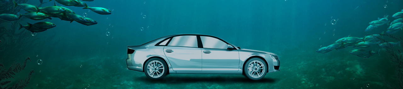 Car underwater surrounded by fish.